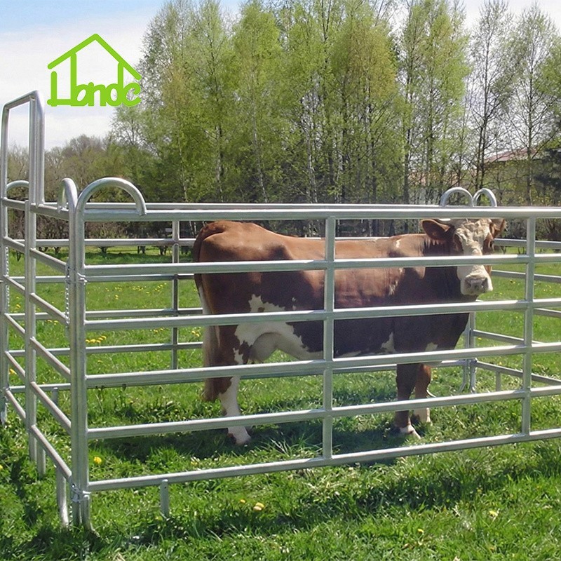 10ft Galvanized Corral Panels best