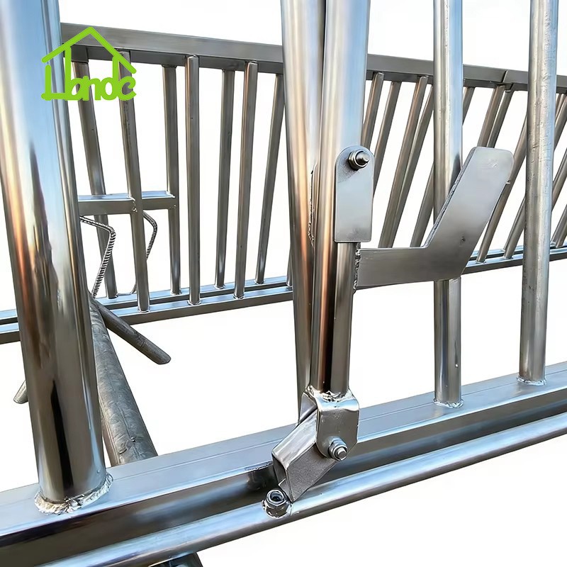 3m 6m Hypotenuse Cattle Headlock factory