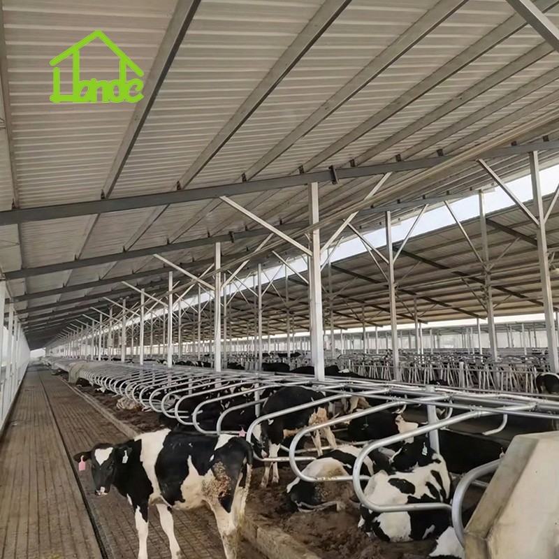 4-Bend Cattle Freestall Loop Divider factory
