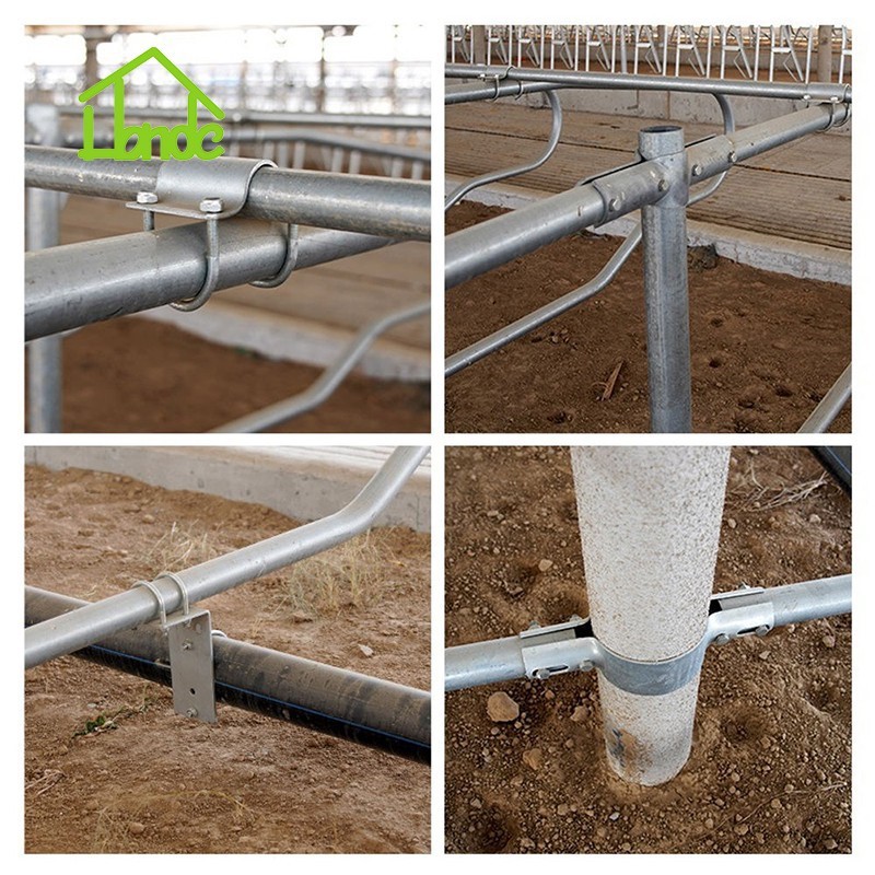 4-Bend Cattle Freestall Loop Divider high quality