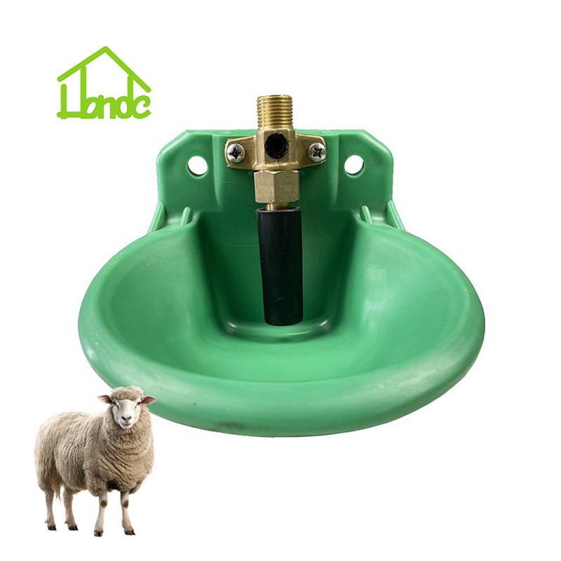 Automatic Sheep Water Bowl factory