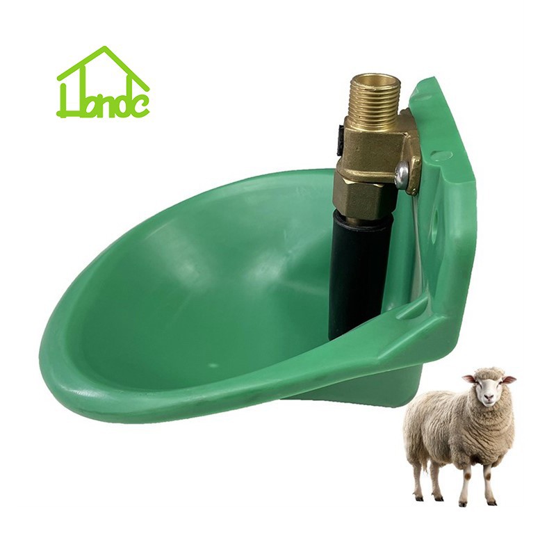 Automatic Sheep Water Bowl best