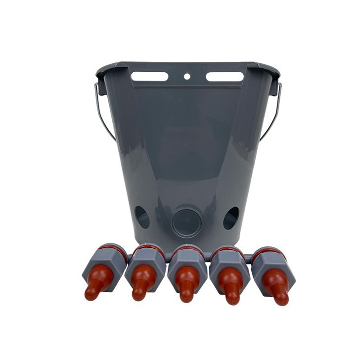 Calf Lamb Drinker Bucket With 5 Short Suckers factory