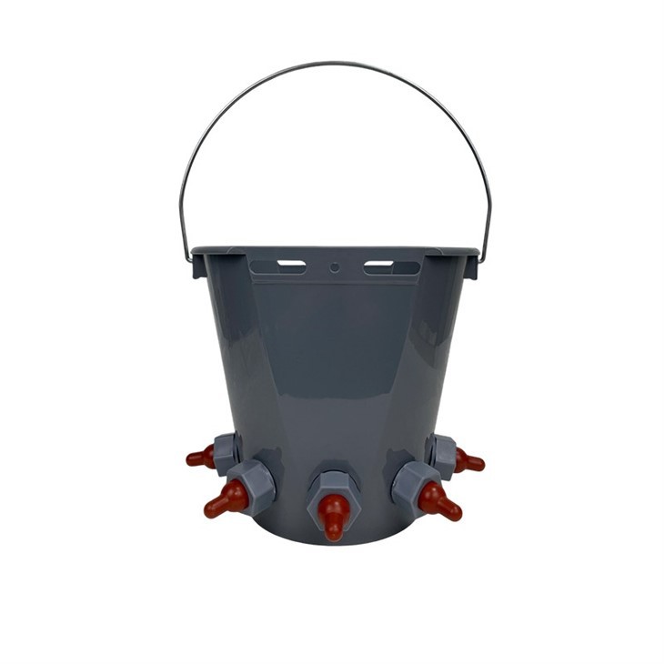 Calf Lamb Drinker Bucket With 5 Short Suckers suppliers