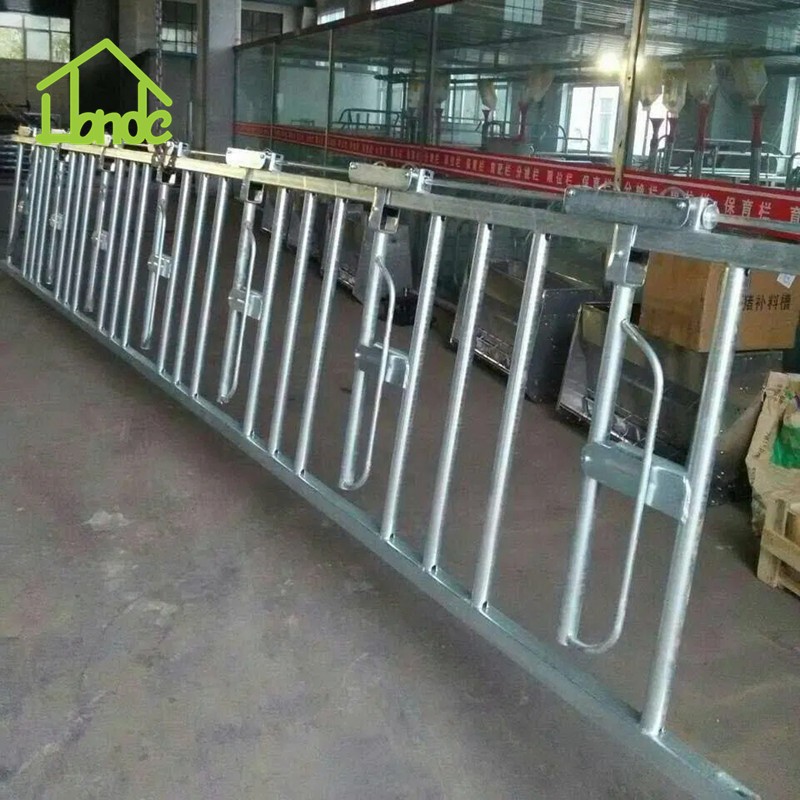 Cattle Headlock Feeder suppliers