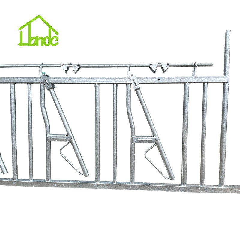 Cattle Self-Locking Headlock For 3 Cows suppliers