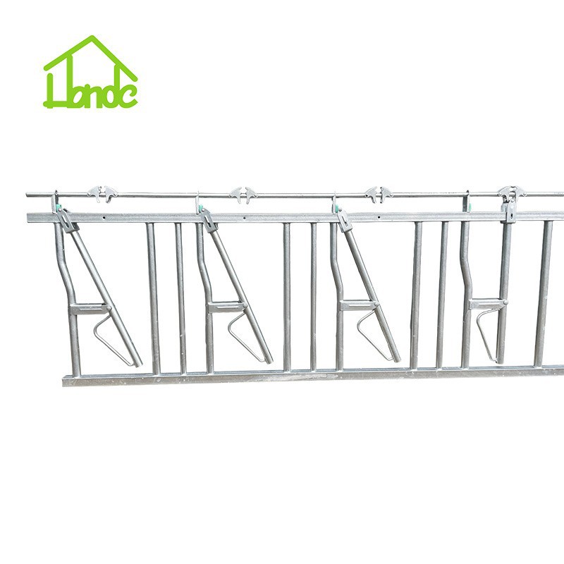 Cattle Self-Locking Headlock For 7 Cows suppliers