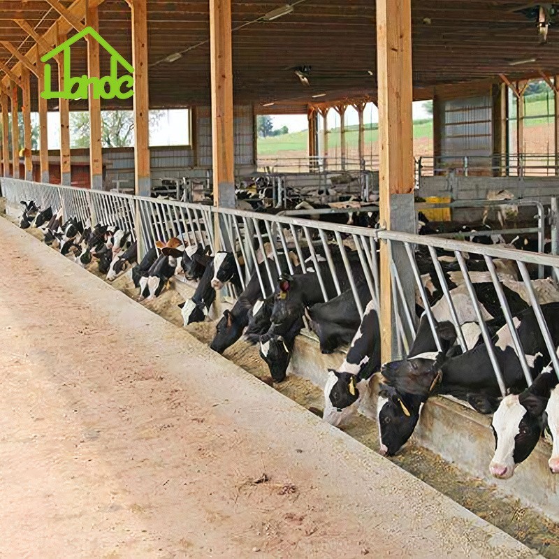 Diagonal Cattle Feed Barriers factory