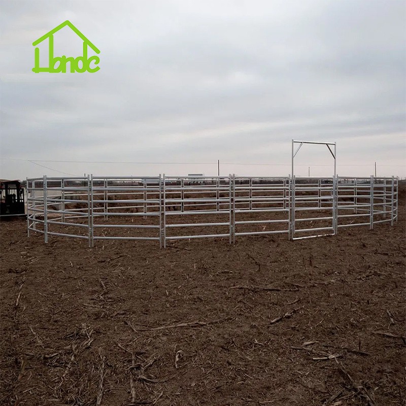 Diy Sheep Handling System factory
