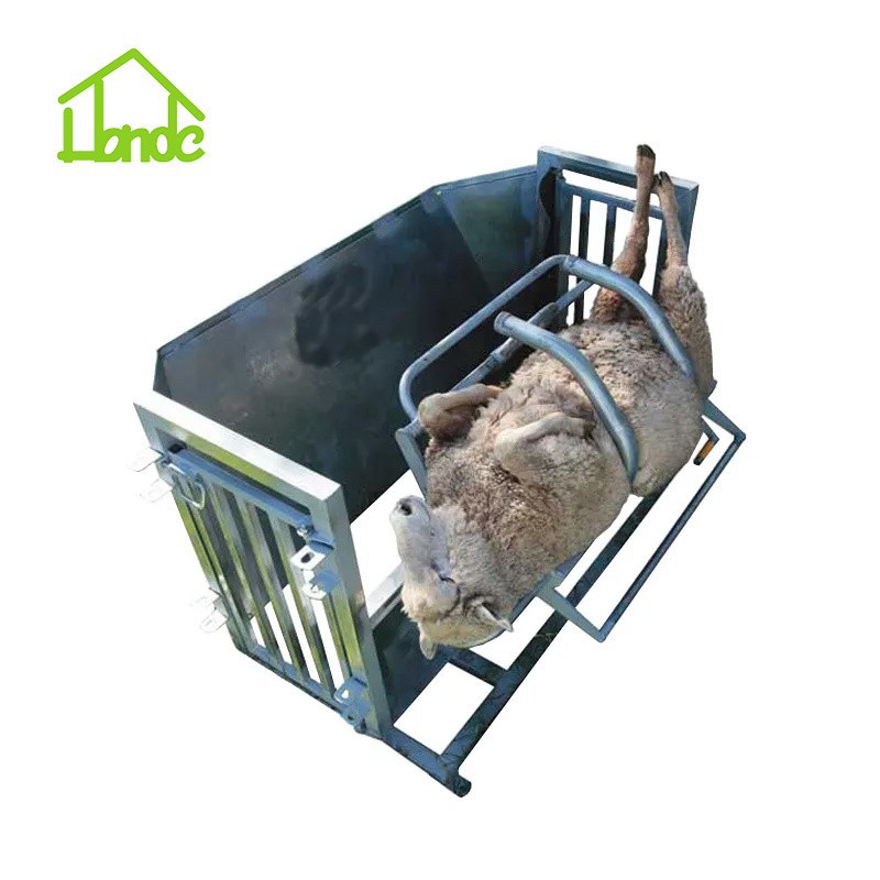 Easy Handling Galvanized Sheep Turnover high quality