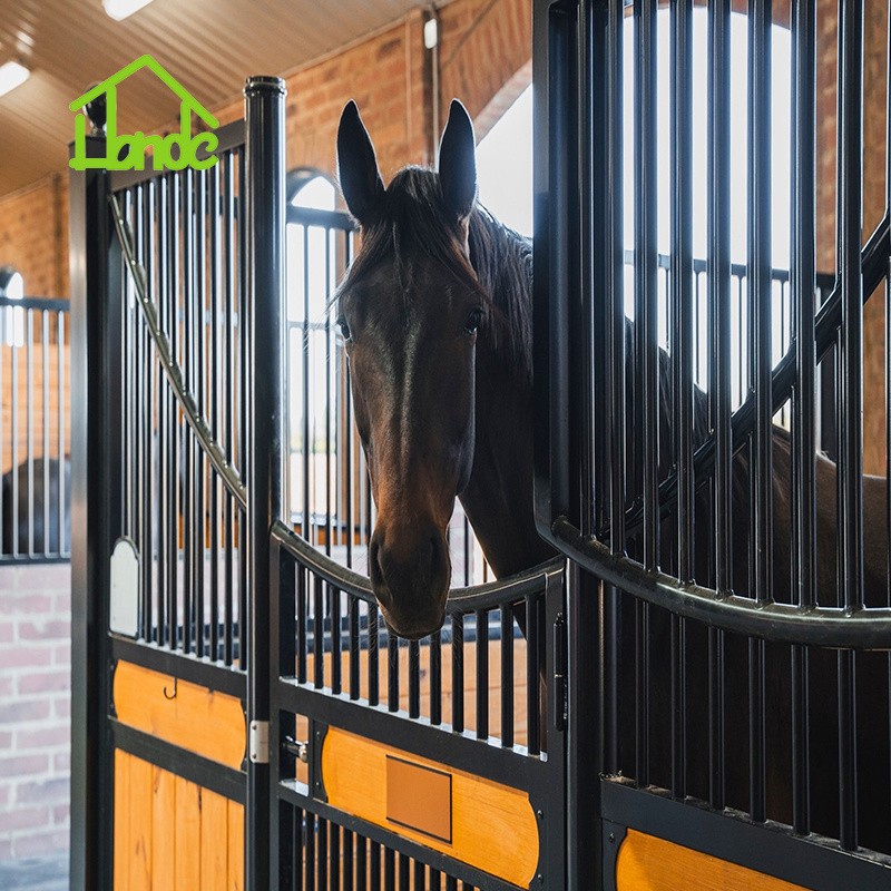 European Horse Stall Fronts best