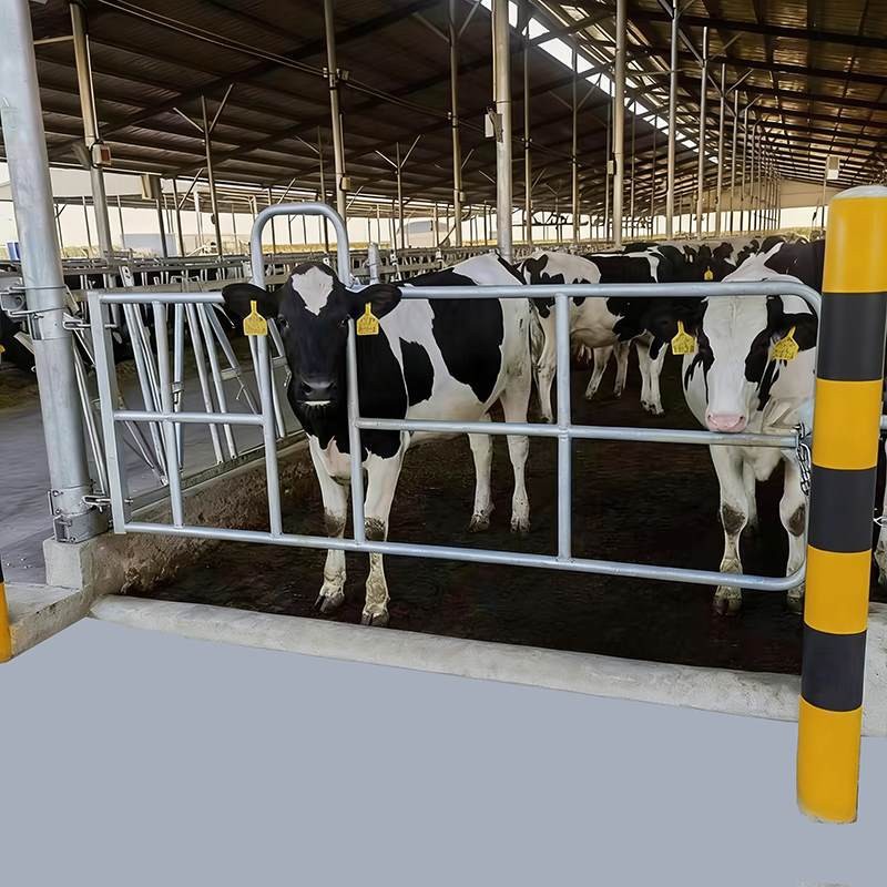 Hot-Dip Galvanized Cattle Barn Gate high quality