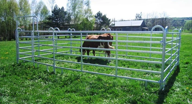 cattle panels cattle panels