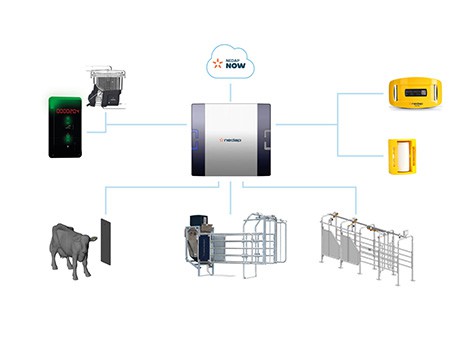 Nedap NV Livestock Management Nedap NV Livestock Management