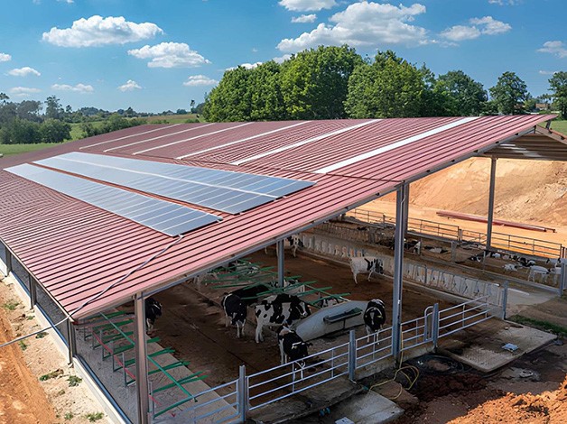 Dairy cows inside modern barn Dairy cows inside modern barn