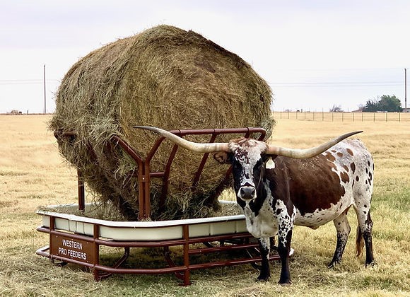 Western Pro Feeders - The Horseman Western Pro Feeders - The Horseman