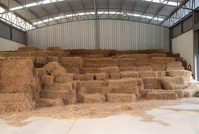 The Multiple Functions of Installing Fences on Sheep Farm Hay Sheds