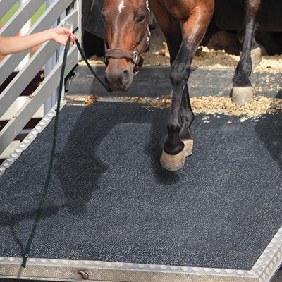 How to Choose Horse Rubber Pads?