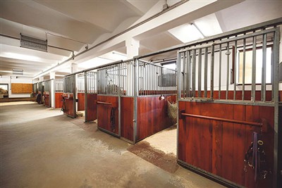 The Importance of Stable Systems