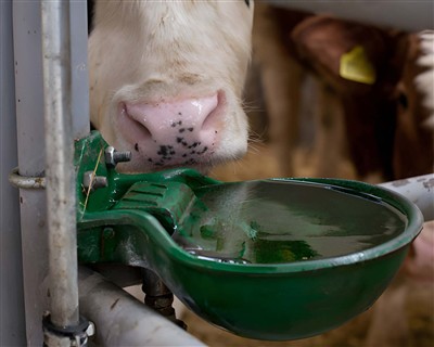 Cattle Waterer User Guide