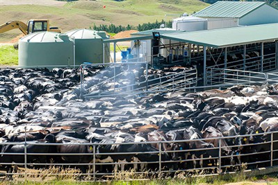 Features of cattle pen partition
