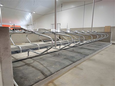 Freestall Design and Dimensions