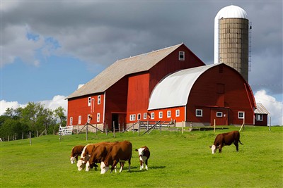 How Much Does It Cost to Build a Freestall Barn?