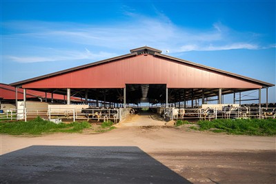 What Is A Freestall Barn?