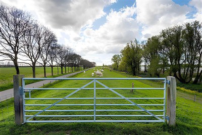 What Are The Different Types Of Cattle Gates?