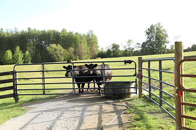 How to Install a Cattle Gate