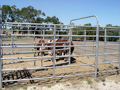How to Connect Portable Livestock Panels