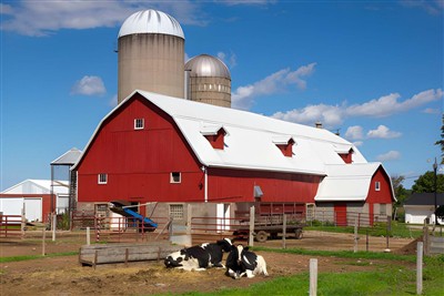 How to Build a Cattle Barn