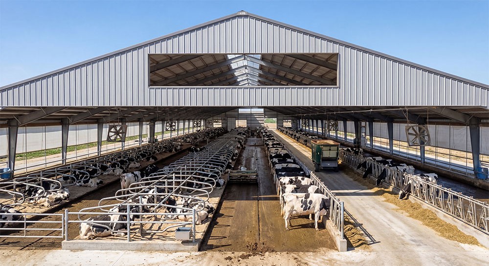freestall barn freestall barn