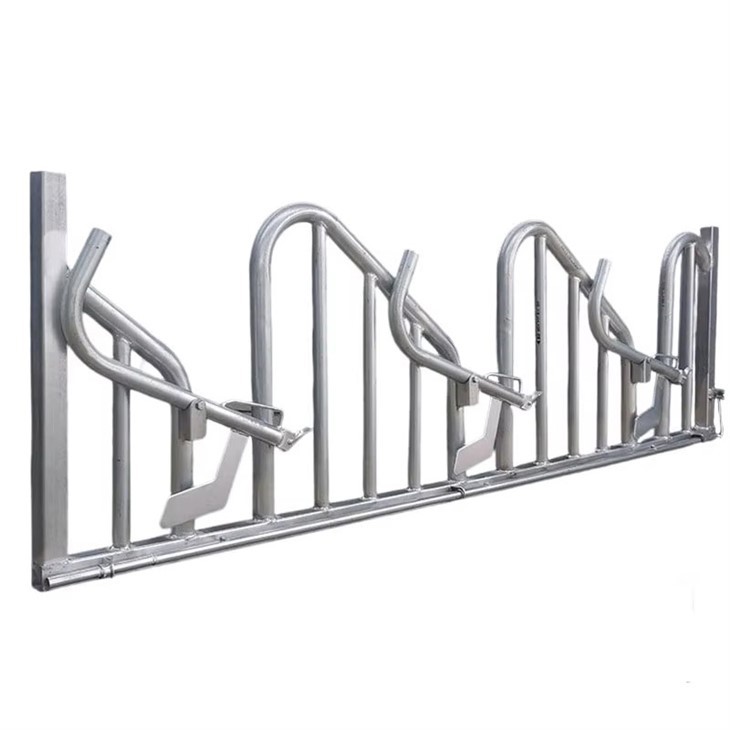 3m 6m Hypotenuse Cattle Headlock