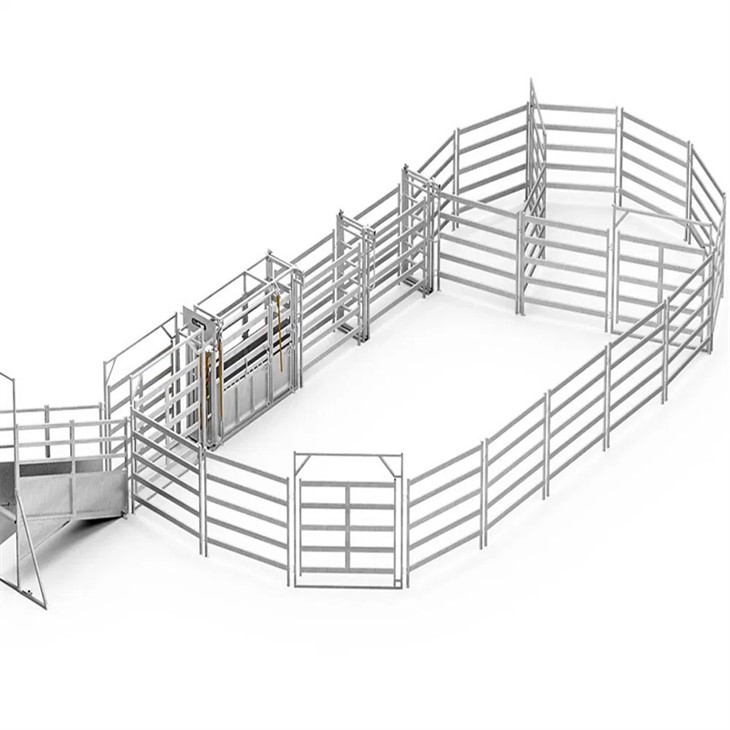 Diy Sheep Handling System