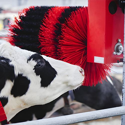 Electric Cattle Brush