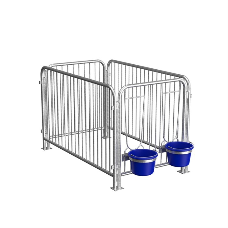 Indoor Calf Pens