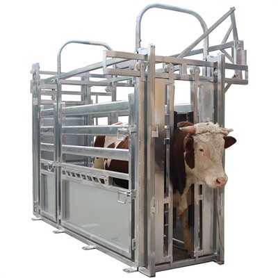 Heavy Duty Cattle Squeeze Chute