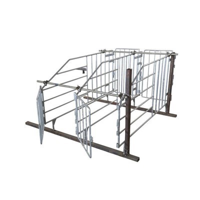 Pig Galvanized Solid Rod Gestation Stall