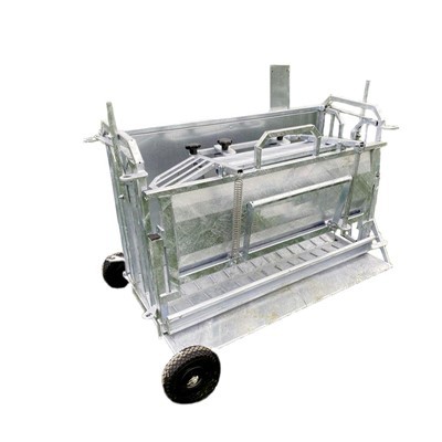 Turn Over Crate For Sheep