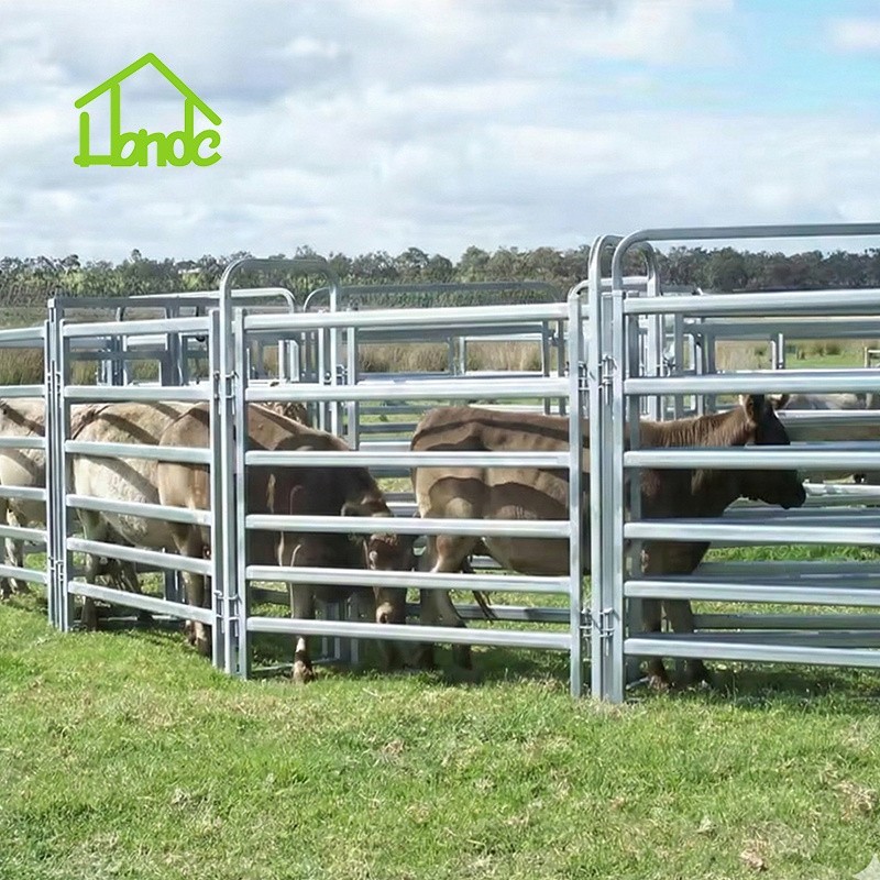 Portable Cattle Corral Panels best