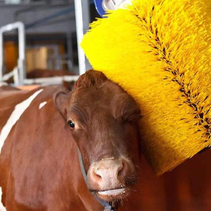 Electric Cattle Brush Electric Cattle Brush