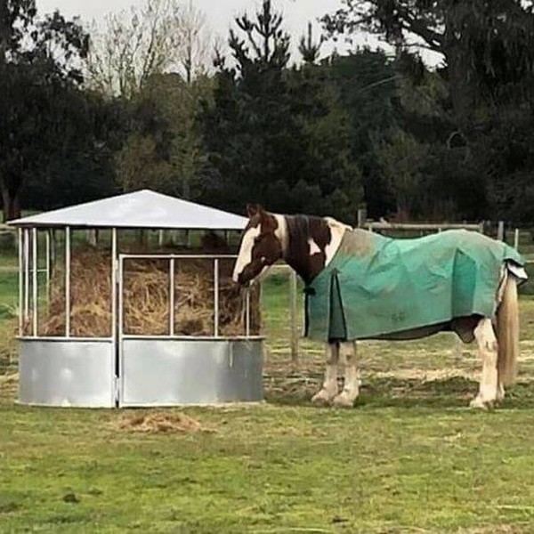 Hay Feeder With Covered Hay Feeder With Covered