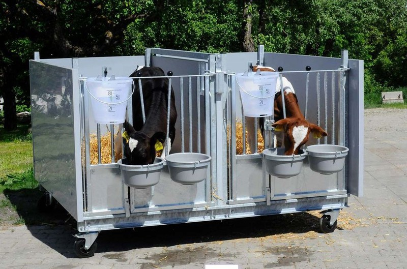 Indoor Calf Pens Indoor Calf Pens