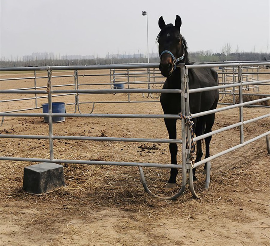 Round Pen Panels For Horses Round Pen Panels For Horses
