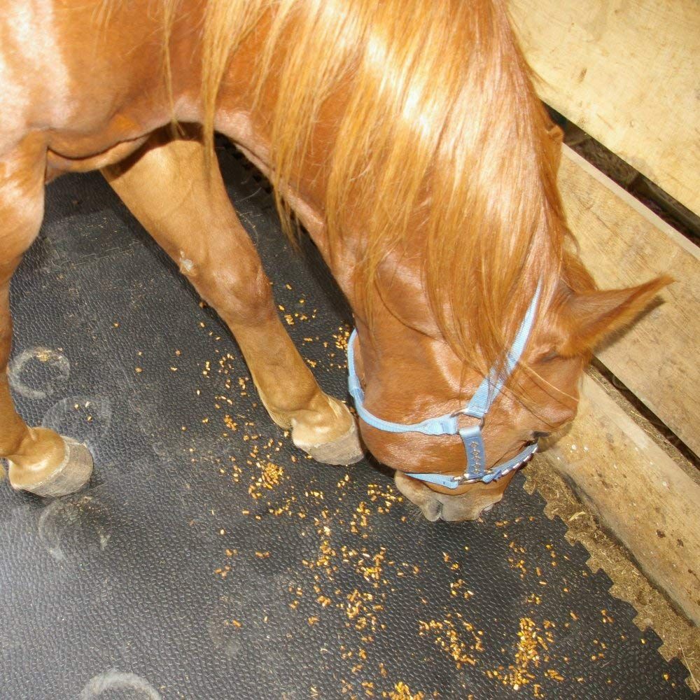 Thick Horse Stall Mats Thick Horse Stall Mats