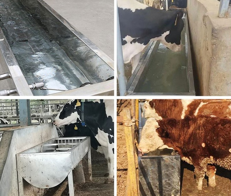 Heating Animal Water Drinkers Heating Animal Water Drinkers