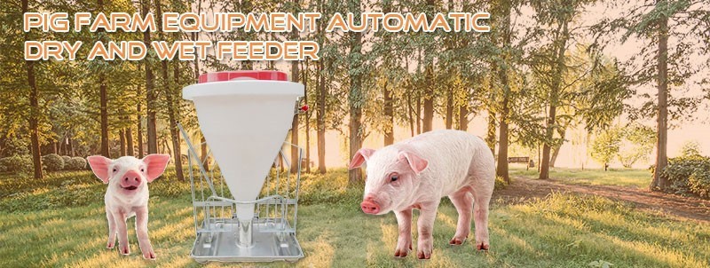 Dry And Wet Pig Feeder Dry And Wet Pig Feeder