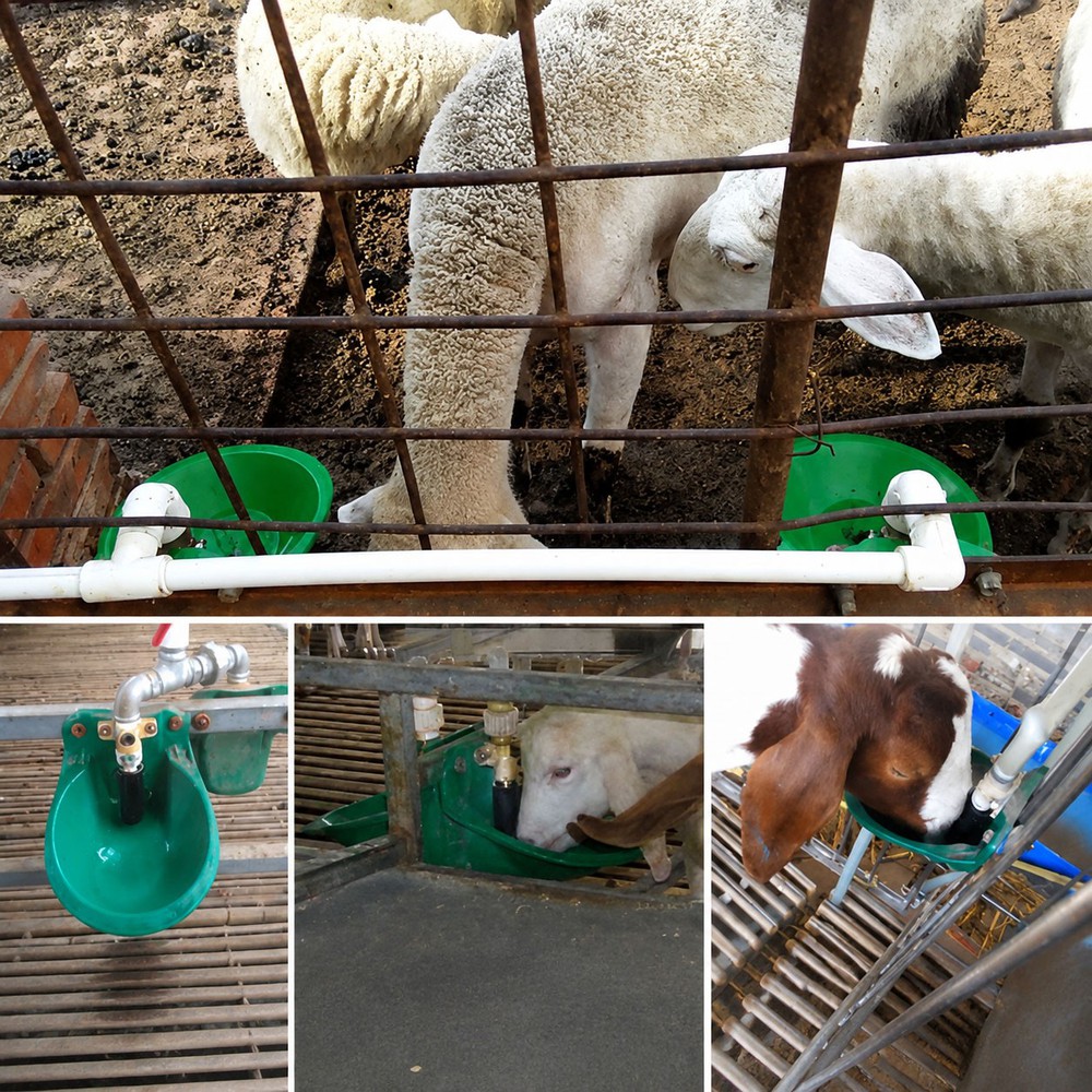 Automatic Sheep Water Bowl Automatic Sheep Water Bowl