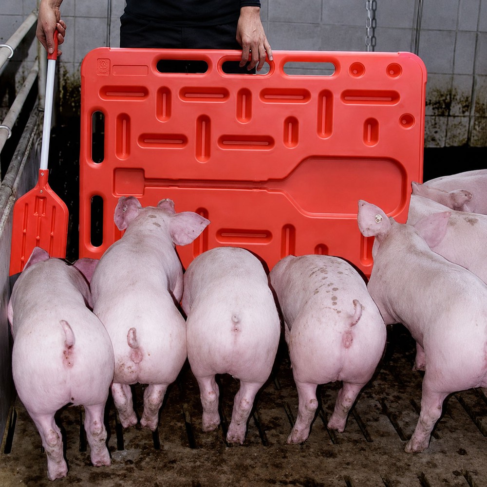 Pig Herding Paddle Pig Herding Paddle